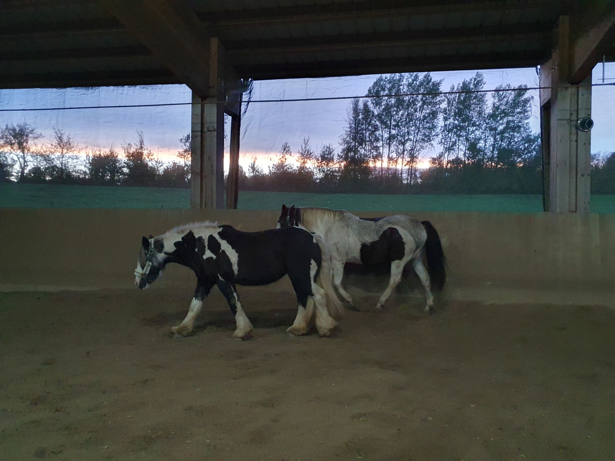 2023 11 November 571